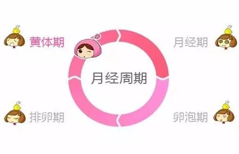 孕前期见红中后期需要注意什么,孕中后期注意事项