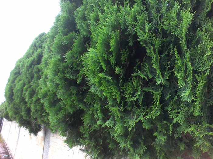 爱普生bt300智能眼镜无人机,爱普生眼镜智能眼镜bt300