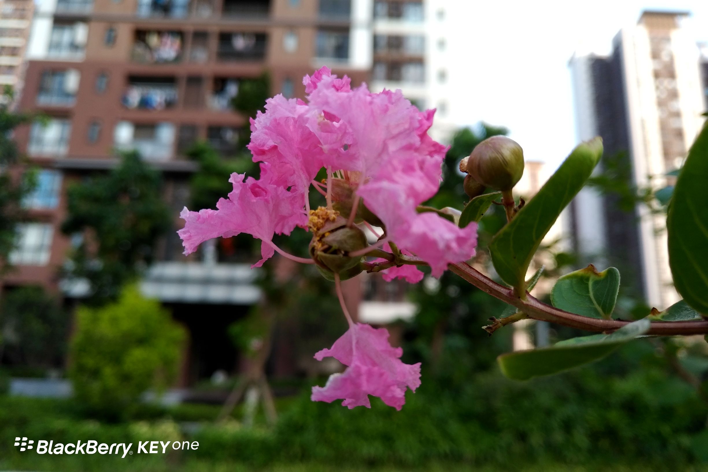 黑莓KeyOne国行上手评测：全键盘情怀的又一次升华