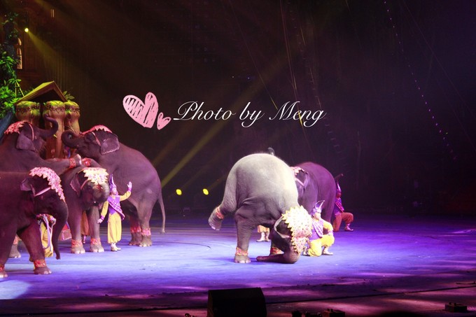 广州长隆水上乐园亲子游攻略视频,珠海长隆海洋快速通道亲子游攻略