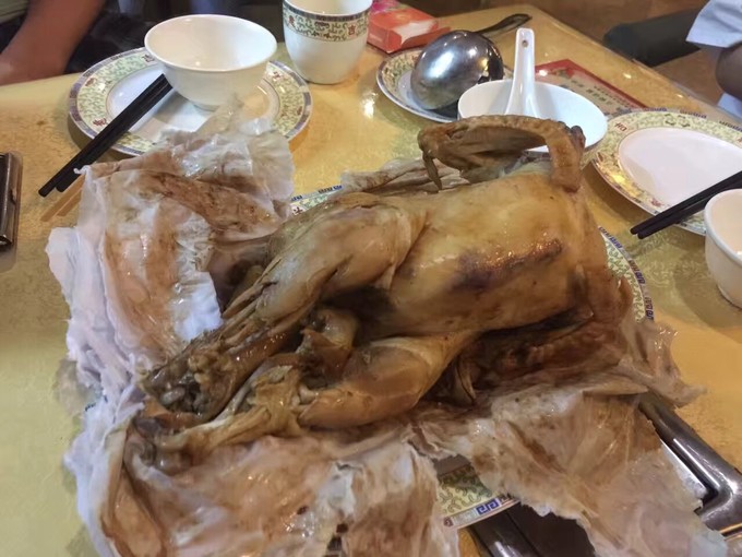 广州长隆水上乐园亲子游攻略视频,珠海长隆海洋快速通道亲子游攻略