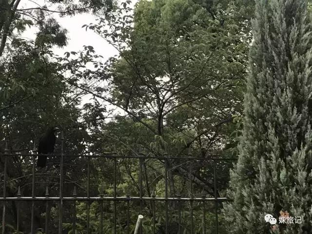 日本便利店书刊,日本便利店杂志是真的吗