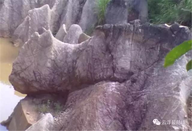 感叹石林的鬼斧神工,感叹云浮