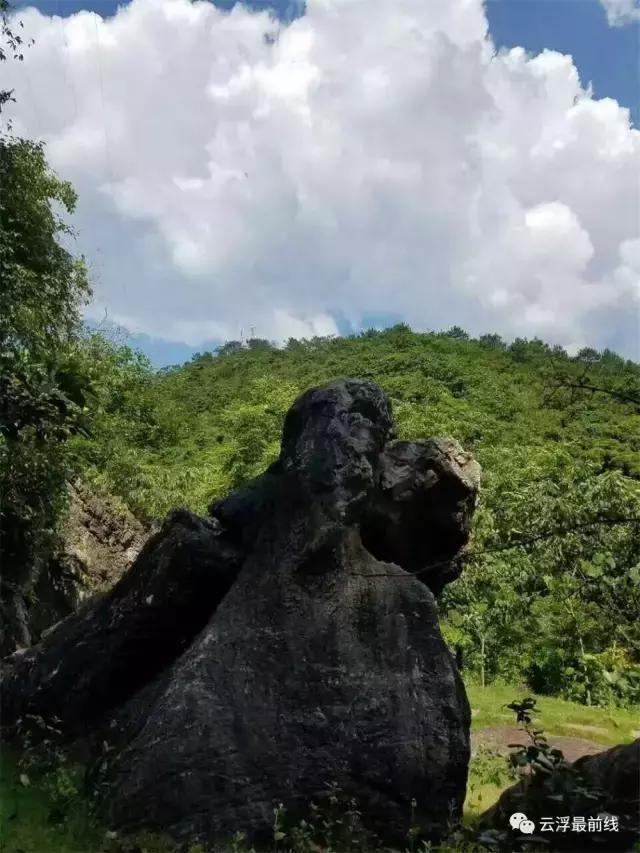 感叹石林的鬼斧神工,感叹云浮