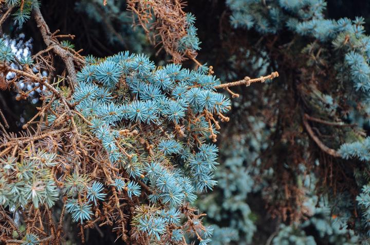 感受战斗民族的霸气,感受战斗民族的热情