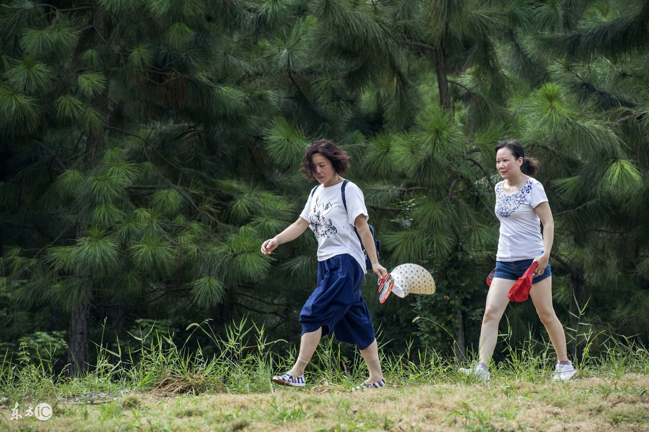 健步走时膝盖是直还是弯,健步走与慢跑哪个伤膝盖