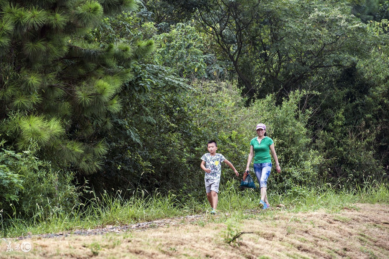 健步走时膝盖是直还是弯,健步走与慢跑哪个伤膝盖