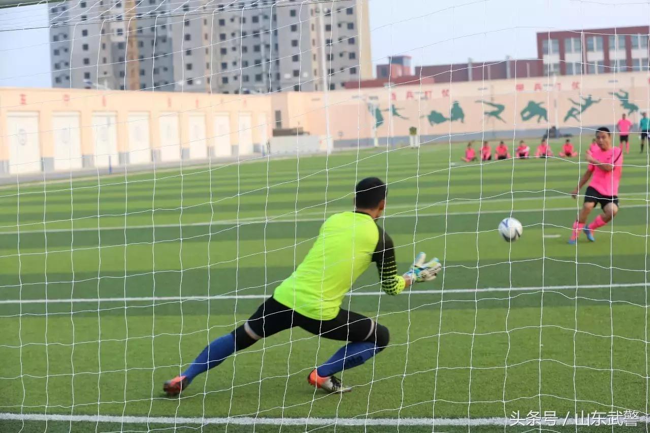 卫士动力视频,卫士动力杯