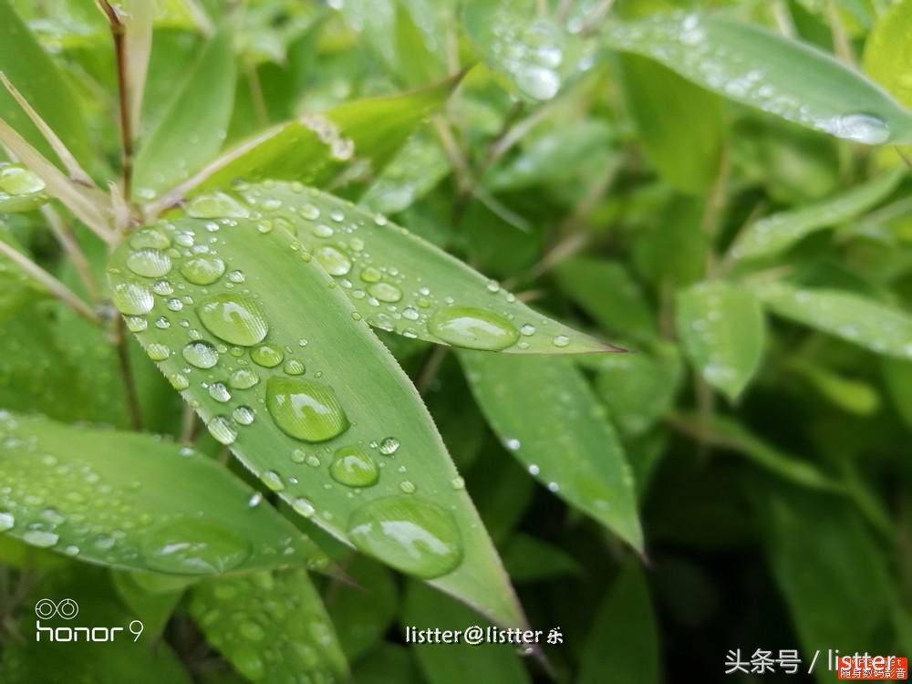 荣耀9试用三周体验,一分钟让你决定买不买值不值