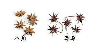 寄生虫入侵大脑的概率,寄生虫进入大脑的后果