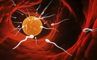 怀孕也会来姨妈会掉血块吗,怀孕当月来月经