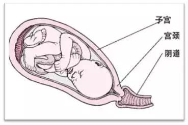 分娩的6大信号你知道吗?
