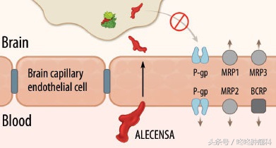 把恶性肿瘤治好相当于什么,把癌症变成慢性病的方法