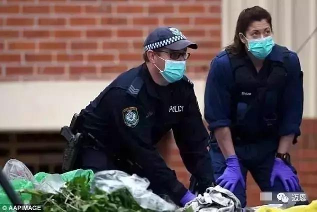 澳洲身份证即将出炉!植入芯片,黑户,恐怖分子无处可藏!