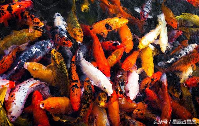 本命年如何避开太岁,本命年化解太岁的正确方法