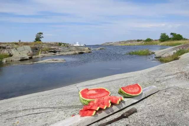 夏天必做的10件小事,夏季有五件事不宜做伤身