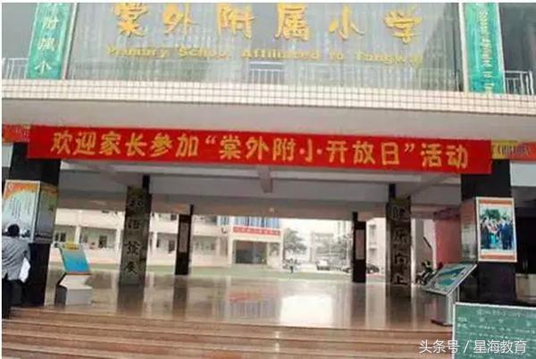 从幼升小到小升初,成都幼升小小学是自己选吗