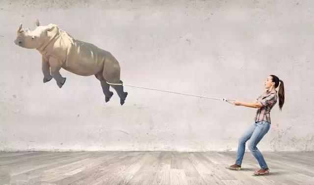 每个人都会做梦是真的吗,你有意识到做梦吗