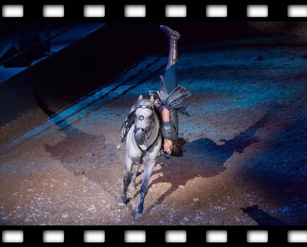 鸟巢见，魔幻巨制现场版电影，马秀特洛伊，堪比战狼2