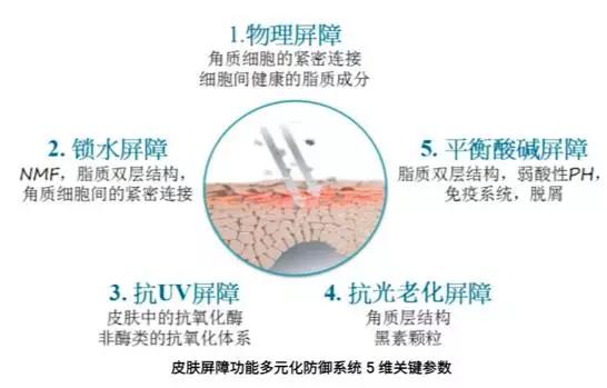 943积雪草肌底液能修复肌肤屏障吗,肌底液爆款排行榜第一名