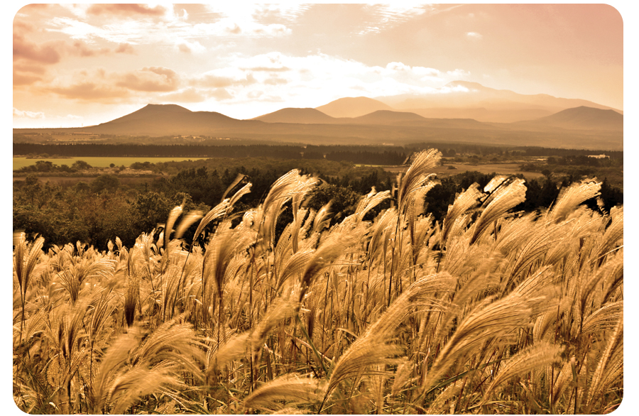 悦诗风吟口红唇膏介绍,悦诗风吟丝绒唇膏