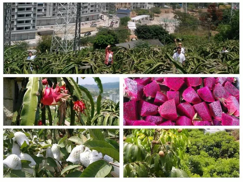 怡情于山水，相伴于旅途——天助网总部广州两日旅行漫记