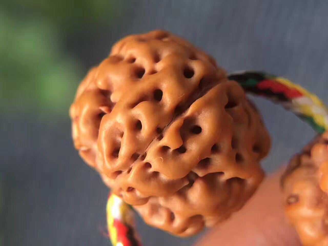 史上最全的小金刚菩提子介绍，再也不用担心被忽悠了！