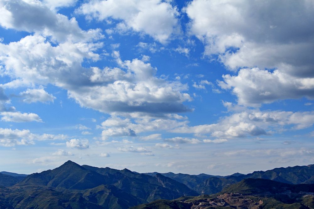 阿里88会员节晚会脱口秀,阿里88会员节怎么参加