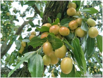 走很少人走的路,少有人走的路歌曲