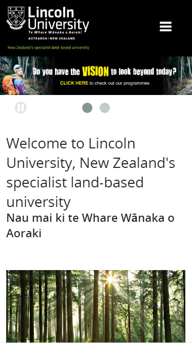 校园网站建设首选方案是什么,学校响应式网站建设