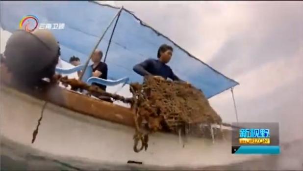 新视角淘宝分店,新视野新观察