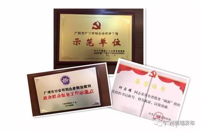 风采|想知道“中经汇通”为什么这么牛?*党**建工作实力抢镜!