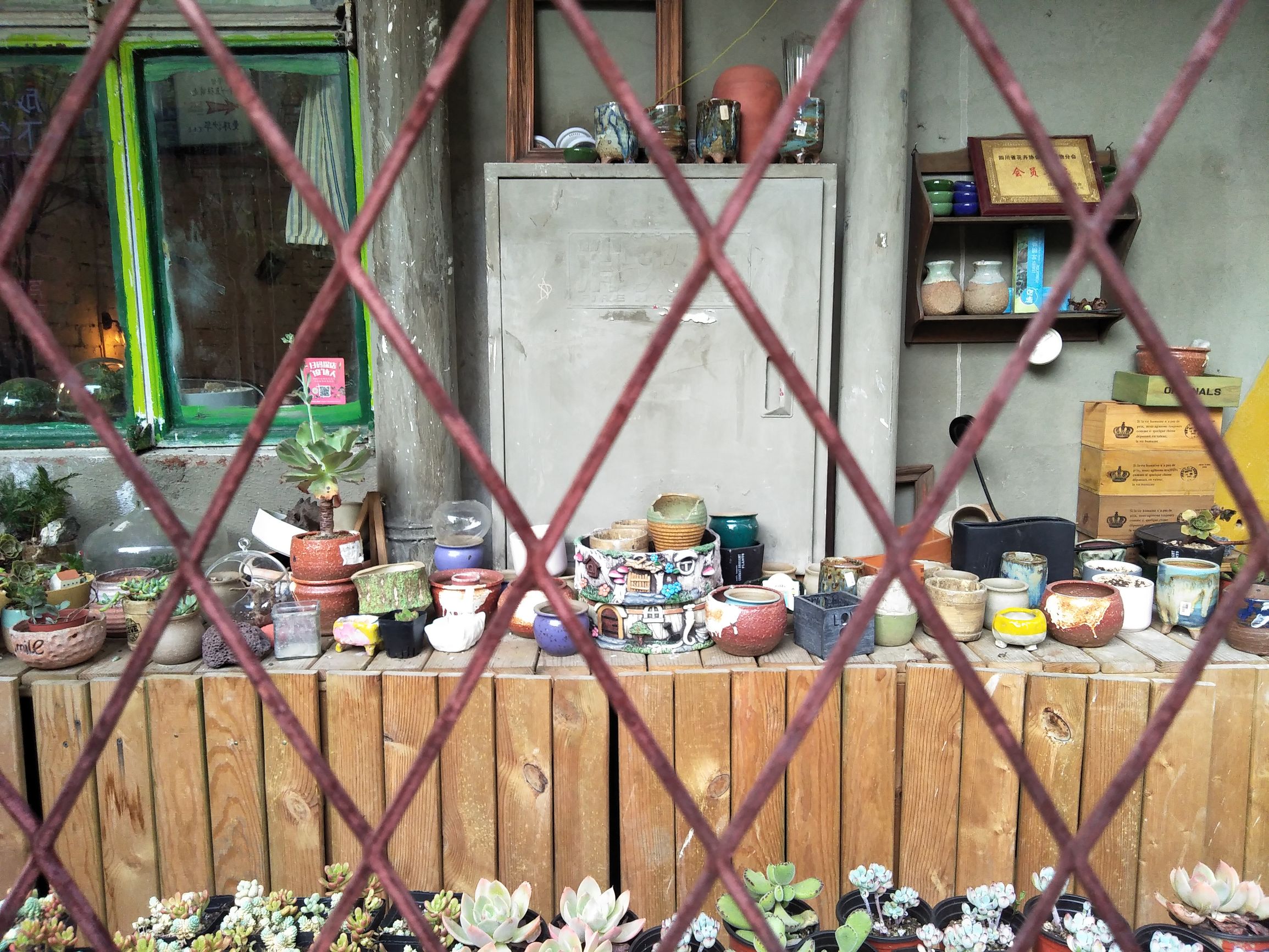 A77综合评测:美貌与性能完美结合的均衡之作