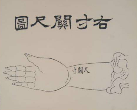 浅释《濒湖脉学》中的浮脉和滑脉（二）