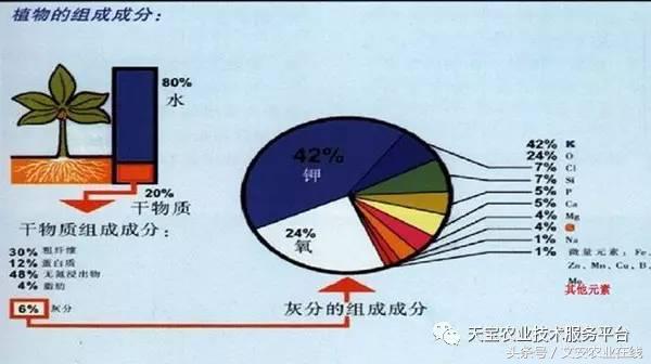 完整的土壤知识快收藏吧,土壤肥料基础知识