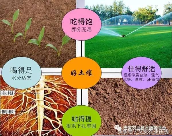 完整的土壤知识快收藏吧,土壤肥料基础知识