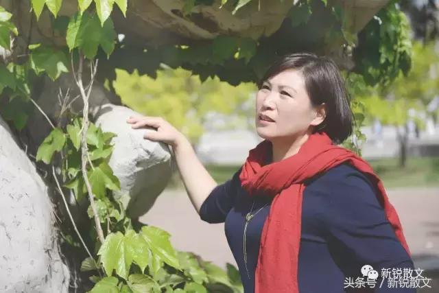 文登有意思的地方,来威海必须去的景点