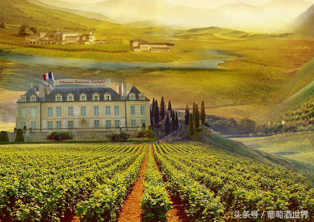 东义路法国白马酒庄,白马酒庄与拉菲酒庄