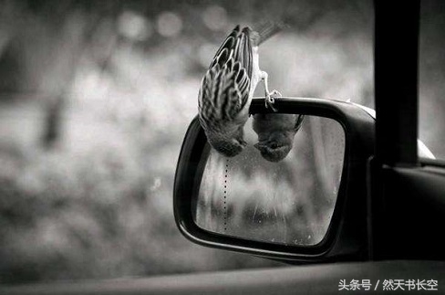 关于心理学的几大问题,心理学研究个体心理的四个方面