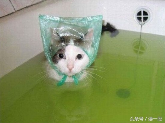 你们那管洗澡搓下来的泥叫什么?我们这叫“人渣”