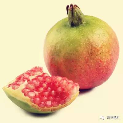 即将收获的石榴既美观又美味,又大又红的石榴真好吃