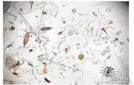 自来水管不清理的危害视频,家里的自来水管真的需要清洗吗