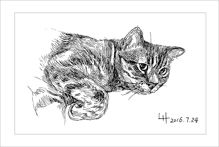 钢笔画动物昆虫,钢笔画家禽速写