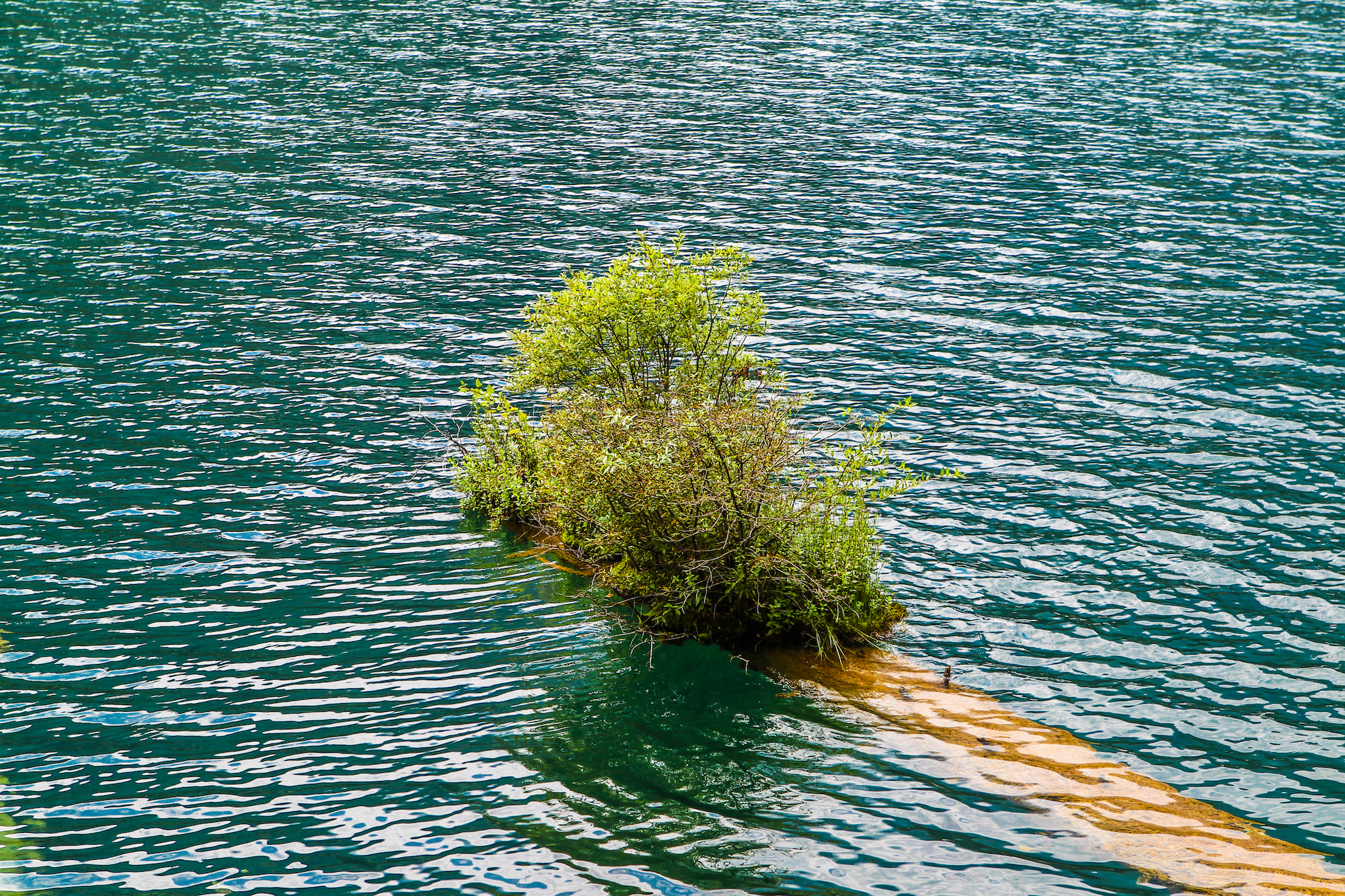 地震前的九寨沟美景,航拍地震前九寨沟所有景点