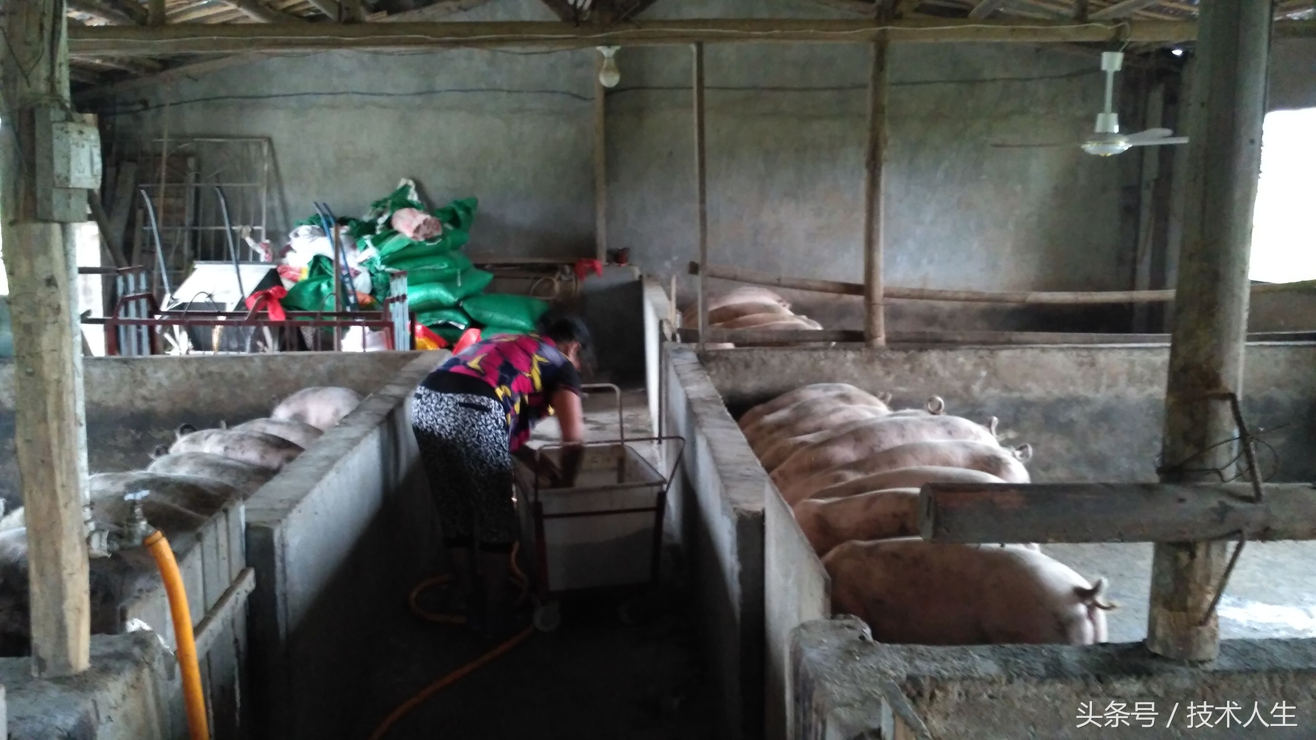 修电视把其他地方修坏了,修电视的坑