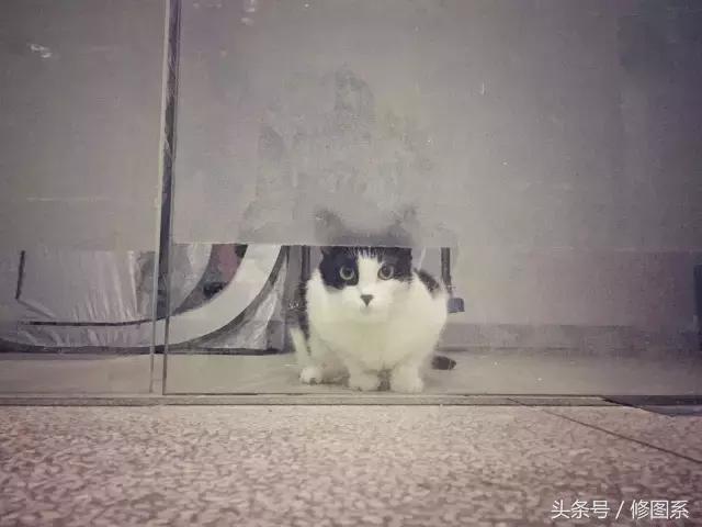 修图师会用哪些修图软件,修图师都用ps么