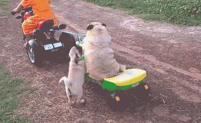 舔第二碗时，丈母娘拉我的手说：放这儿吧！等下我来洗