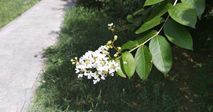 异形全面屏简洁系统UI美人尖夏普AQUOSS2评测体验