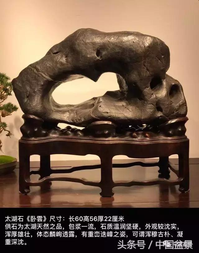 盆景的意境之美,优雅的盆景