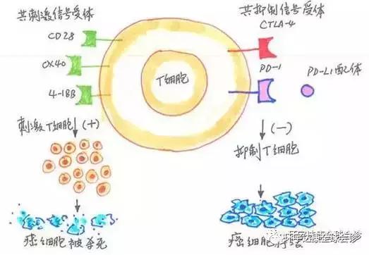 肺癌8大靶点抗癌药物全汇总,最新抗击肺癌药物